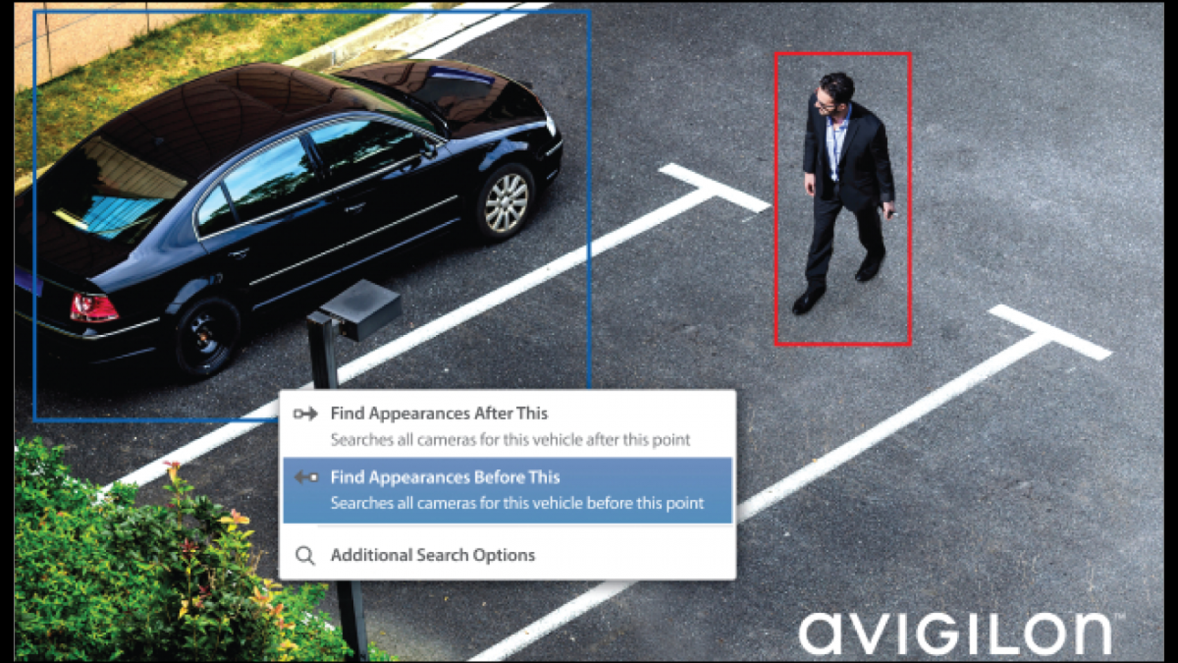 avigin-blog2
