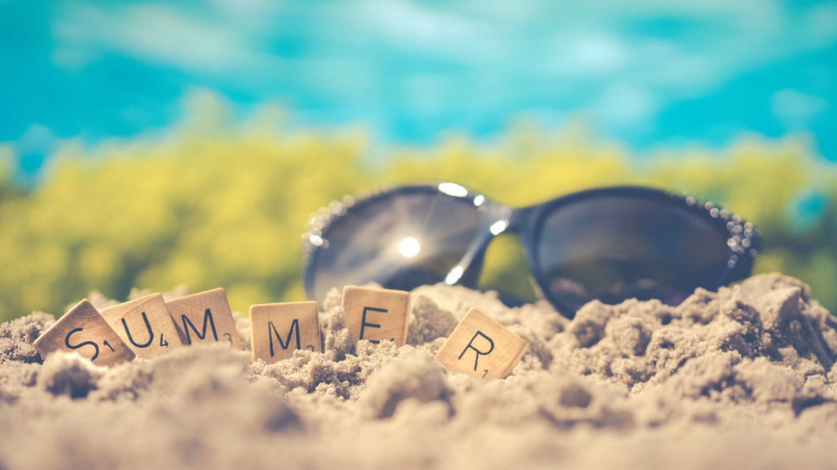sap-summer