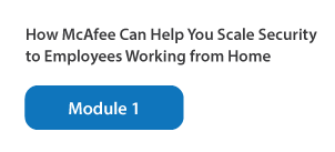 mcafee module 1