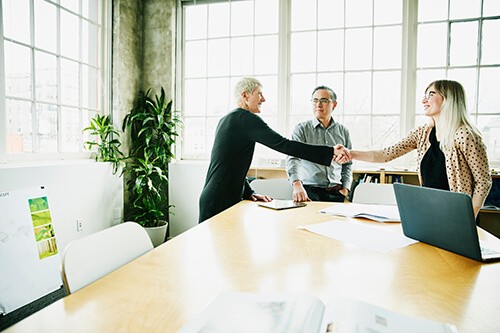 Business partners shaking hands