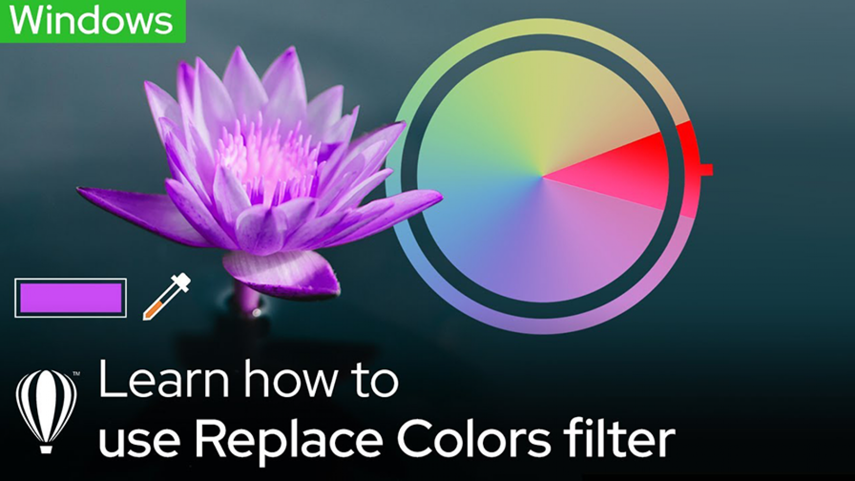 Replace Color Windows