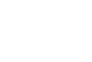 WSI-Logo
