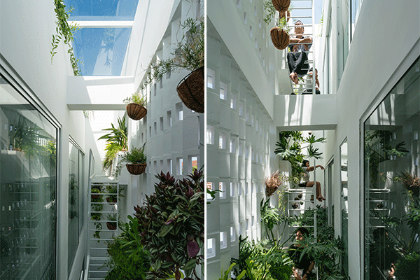 offers top lighting to bring natural light