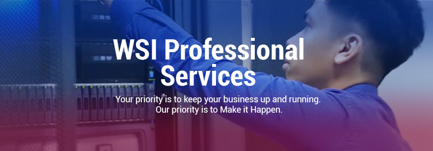 Why WSI Professional services manage projects successfully?