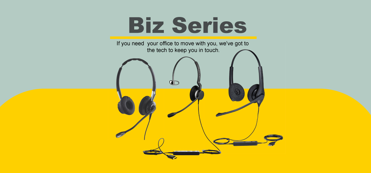 Biz-Series